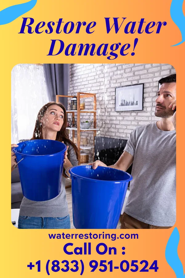 water restoration North Water Works Pros Clarksville